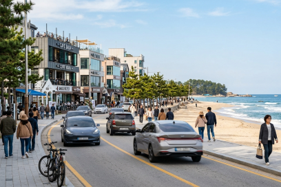 강릉 커피 거리 완벽 가이드: 역사, 축제, 즐길 거리와 추천 카페