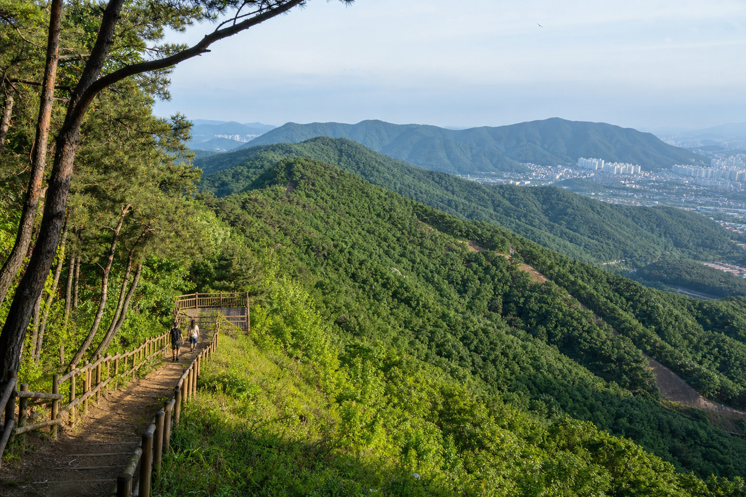 대구 동구의 푸른 능선과 산책로 풍경
