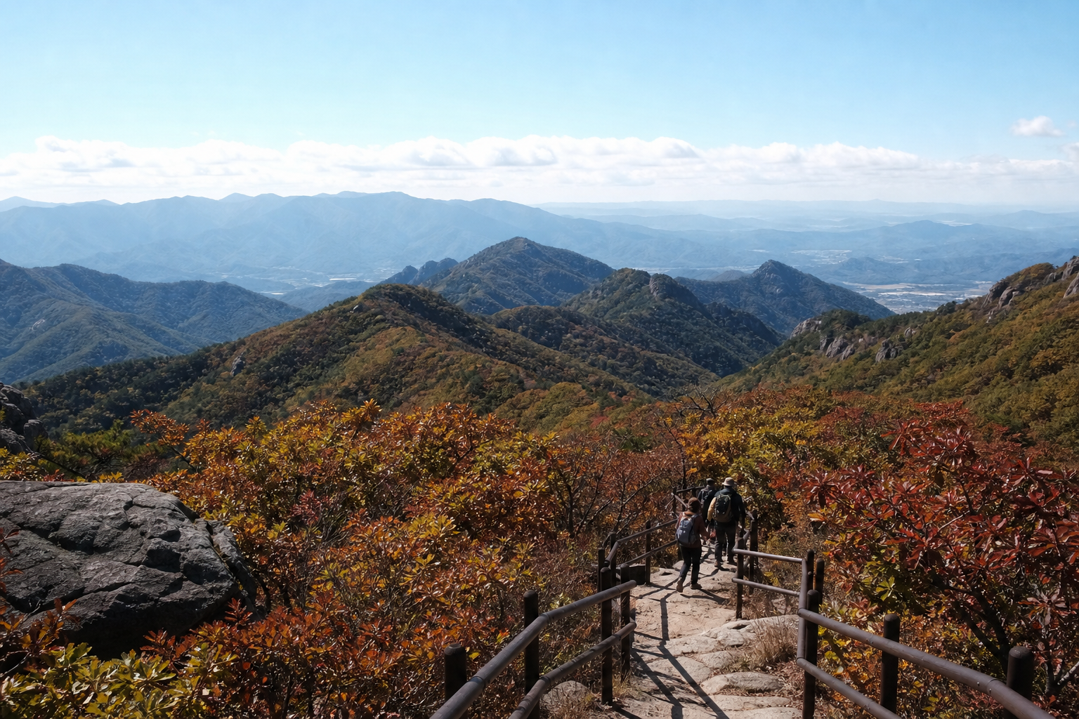 단풍이 보이는 산림 전망 포인트