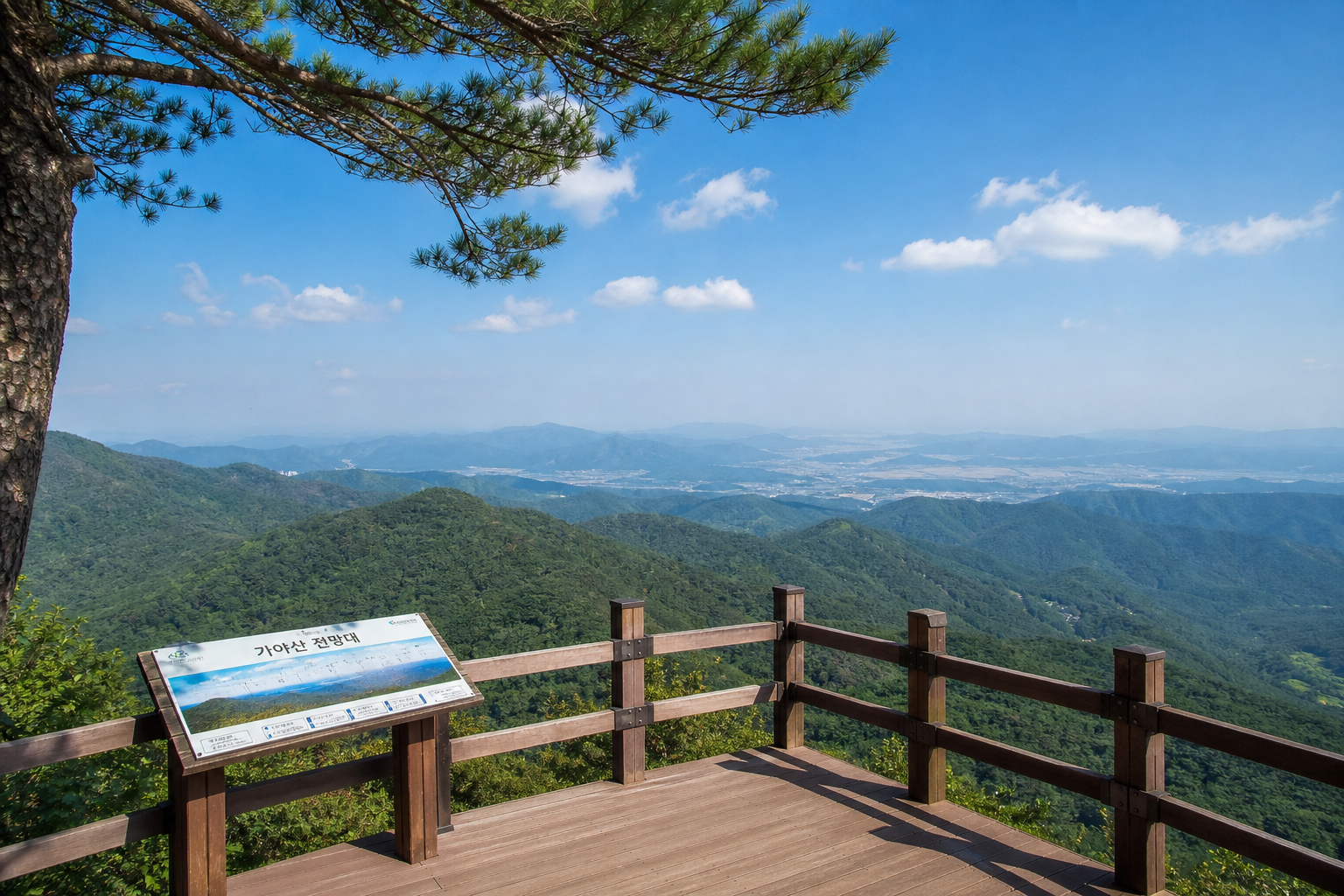 국립공원 전망 포인트와 숲 동선을 보여주는 여행 이미지