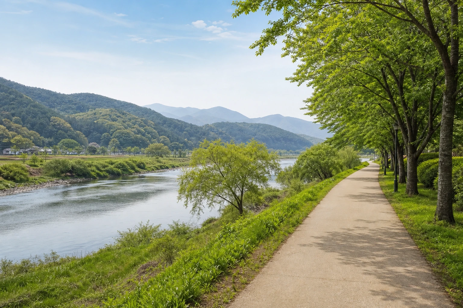 전남 장성 황룡강 강변 산책로 전경